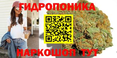 эйфоретик Сланцы