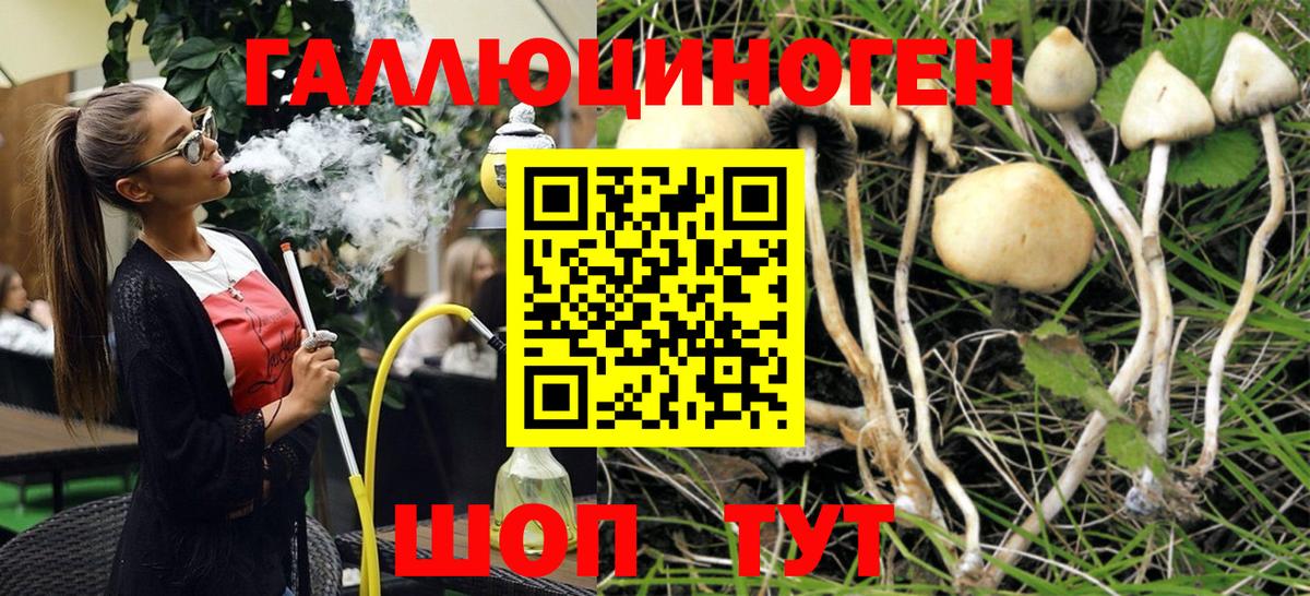 Галлюциногенные грибы прущие грибы  Вход с VPN  Тулун 
